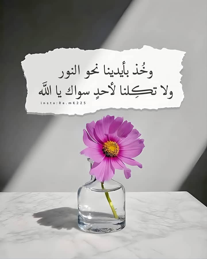 abdula mohammad (@abdulamohammad5) on Twitter photo 