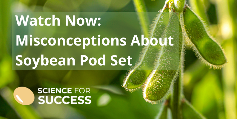 SoybeanScience1's tweet image. Do you think more pods = more yield? Not always. @stepupsoy breaks down the real story behind soybean pod set (R3-R4 stages) and clears up common misconceptions. This must-watch video helps producers truly understand what’s happening in their fields. ow.ly/Ia8K50Wbz9A