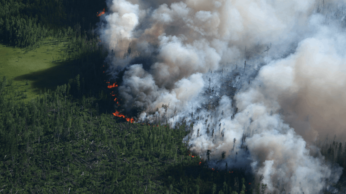 #Wildfire season is here, and the right tools make all the difference. Check out the top apps and insights to track what's burning, where, and why it matters. Stay informed, stay ready.

#GIS #FireSeason #PublicSafety

ow.ly/XHRh50Wgex0