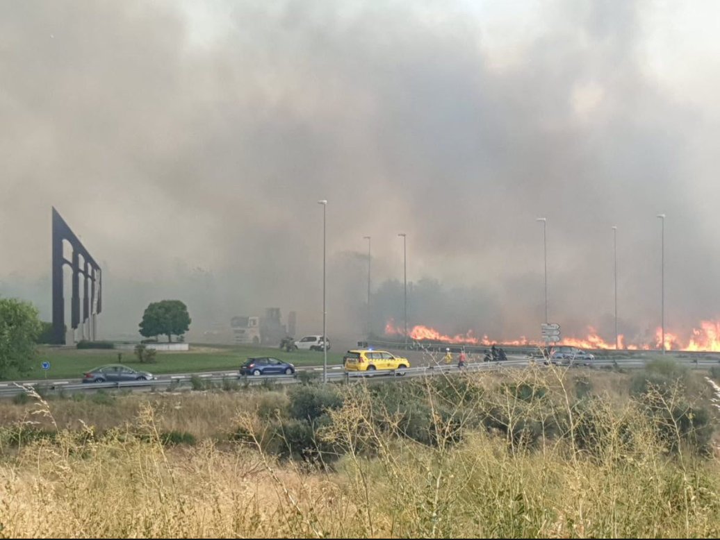 Brundegor tweet media