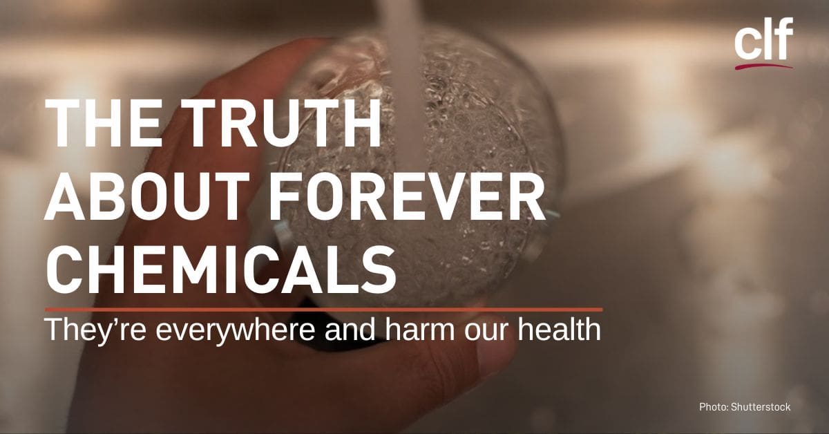 CLF's tweet image. It’s time to get serious about eliminating the scourge of PFAS from our environment. The truth about "forever chemicals," and why states need to take the lead on eliminating them: ow.ly/GHy950WrsuC