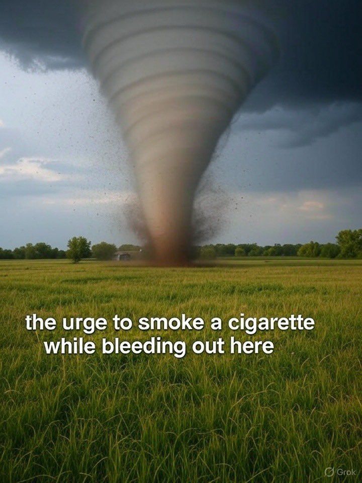 ChaserChat's tweet image. 
