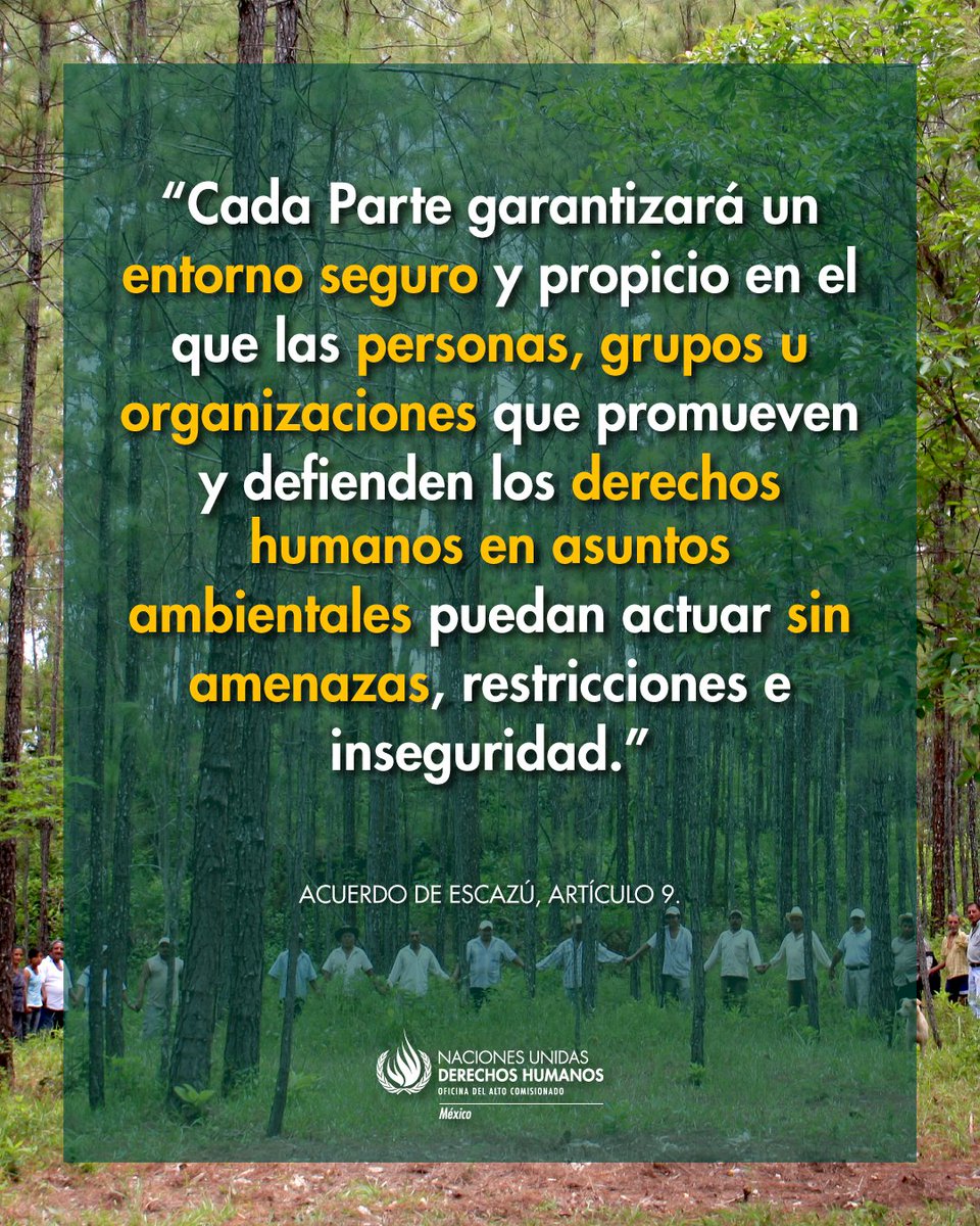 ONUDHmexico's tweet image. 🌿 En el Día de las Personas Defensoras del Medio Ambiente, recordamos la importancia del #AcuerdoDeEscazú, que consagra el compromiso de los Estados para garantizar la protección de quienes defienden el medio ambiente, a través de obligaciones de respeto, prevención, protección…