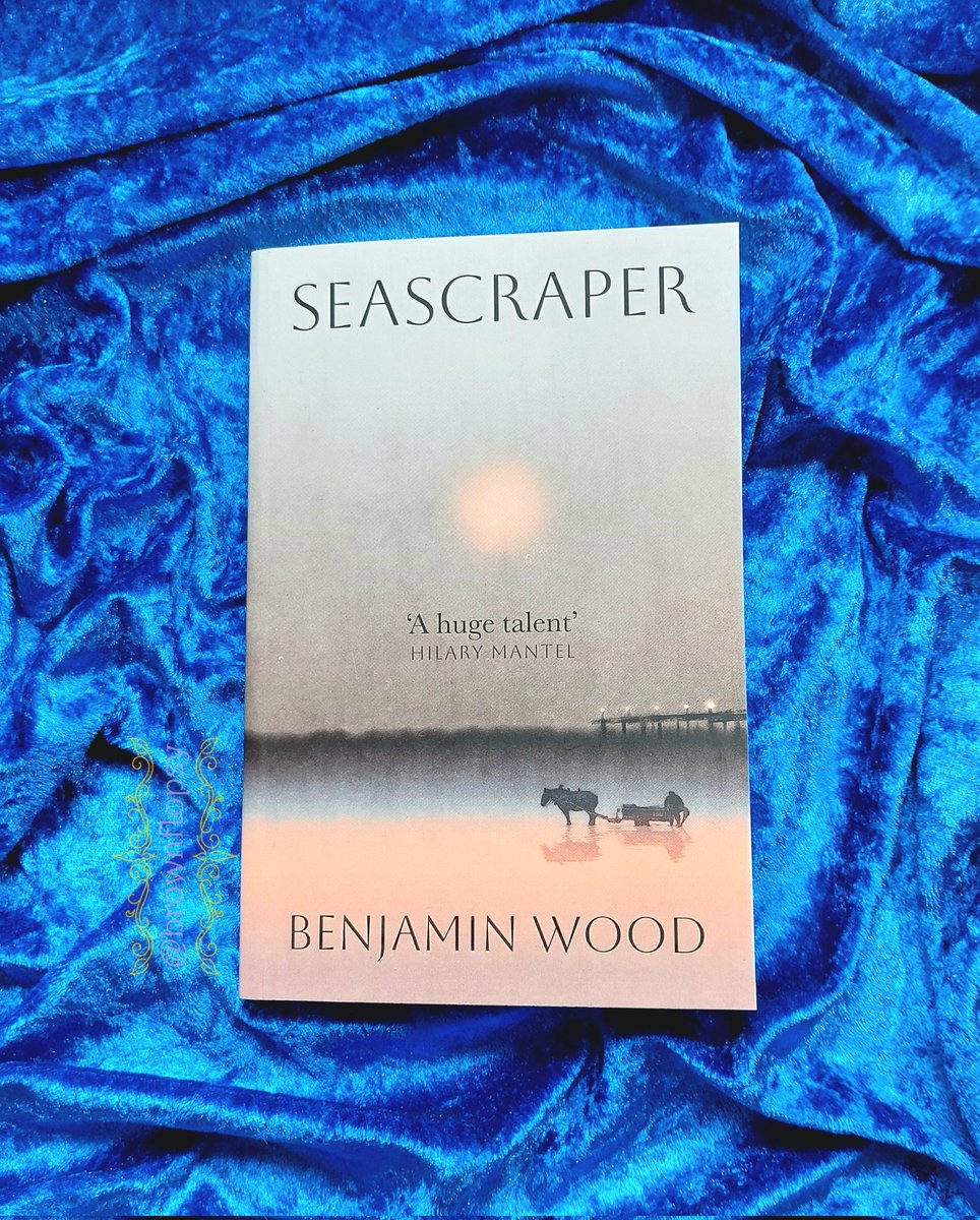 brownflopsy's tweet image. Happy publication day to the atmospheric literary stunner #Seascraper by Benjamin Wood - one of this month's brilliant @Squadpod3 #SquadPodFeaturedBooks
Out today from @VikingBooks
ICYMI my review here:
brownflopsy.blogspot.com/2025/07/seascr…