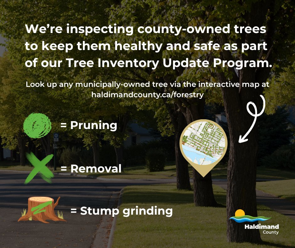 🌳 Arborists are out and about in Haldimand now through October, inspecting trees as part of our Tree Inventory Update Program. This helps us catch issues early and keep our trees healthy.
📍 Check the inventory map &amp; learn more: ow.ly/YpsE50Wkyks.