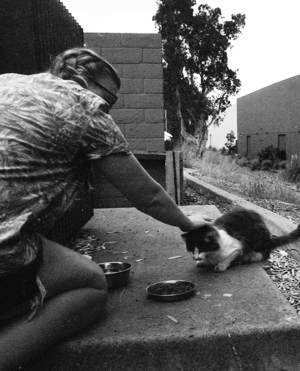 Meet Linden, Shift Supervisor and the backbone of our Miramar tasting room! 🌞📚 If you've perused the Miramar taplist, you've surely seen her lovely penmanship written on the boards. She’s the queen of our monthly Book Club, a lover of cats, and has an infectious laugh.