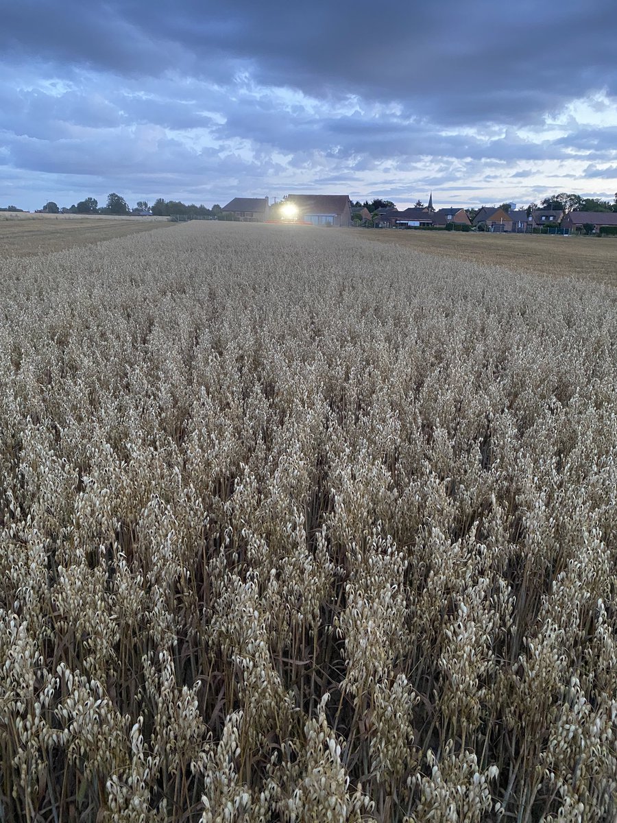 Et la moisson 2025 <a href="/OlivierCOSTE2/">Olivier COSTE</a> <a href="/BONNIN1402/">Emmanuel BONNIN</a> <a href="/GuyotVincent02/">GUYOT Vincent</a> <a href="/BruCardot/">Bruno 😅Salut Salut</a> <a href="/annetissot3/">Anne Tissot</a> <a href="/LePogamGuillaum/">Guillaume LE POGAM 🪱🐝🐞🌾🌻🌽</a> <a href="/farmers3b/">Cornil D 🐂🐄🌾🌽</a> se termine par l’avoine de printemps!!