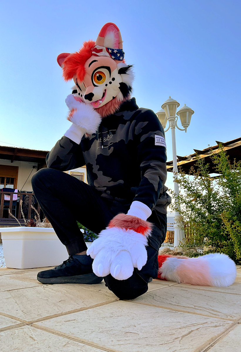 Skoycat's tweet image. Finally here!!! 
#furry #furries #fursuit
