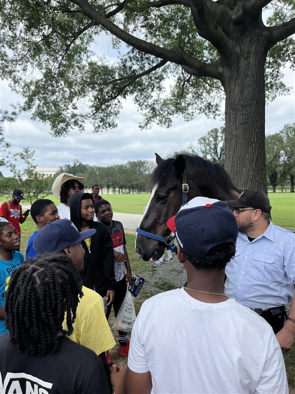 TheNationalMall's tweet image. Yesterday, we hosted the Nationals Youth Baseball Academy for a special tour and scavenger hunt on the National Mall. The Scholar Athletes visited the Lockkeeper’s House, Constitution Gardens, and met the horses at the US Park Police Stables!