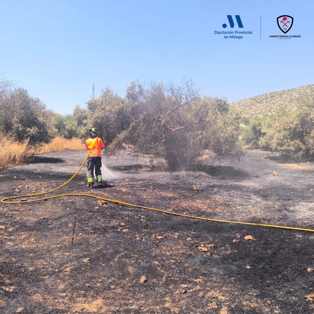 cpbmalaga's tweet image. Nuestras dotaciones #Campillos y #Antequera intervienen por incendio de vehículo, que afecta a vegetación cercana, en el Km.1 de la MA-5404, en Campillos
El turismo arde por completo y el fuego afecta a unos 2.000m2 de vegetación. Sin daños personales 

#CPBMálaga @diputacionMLG