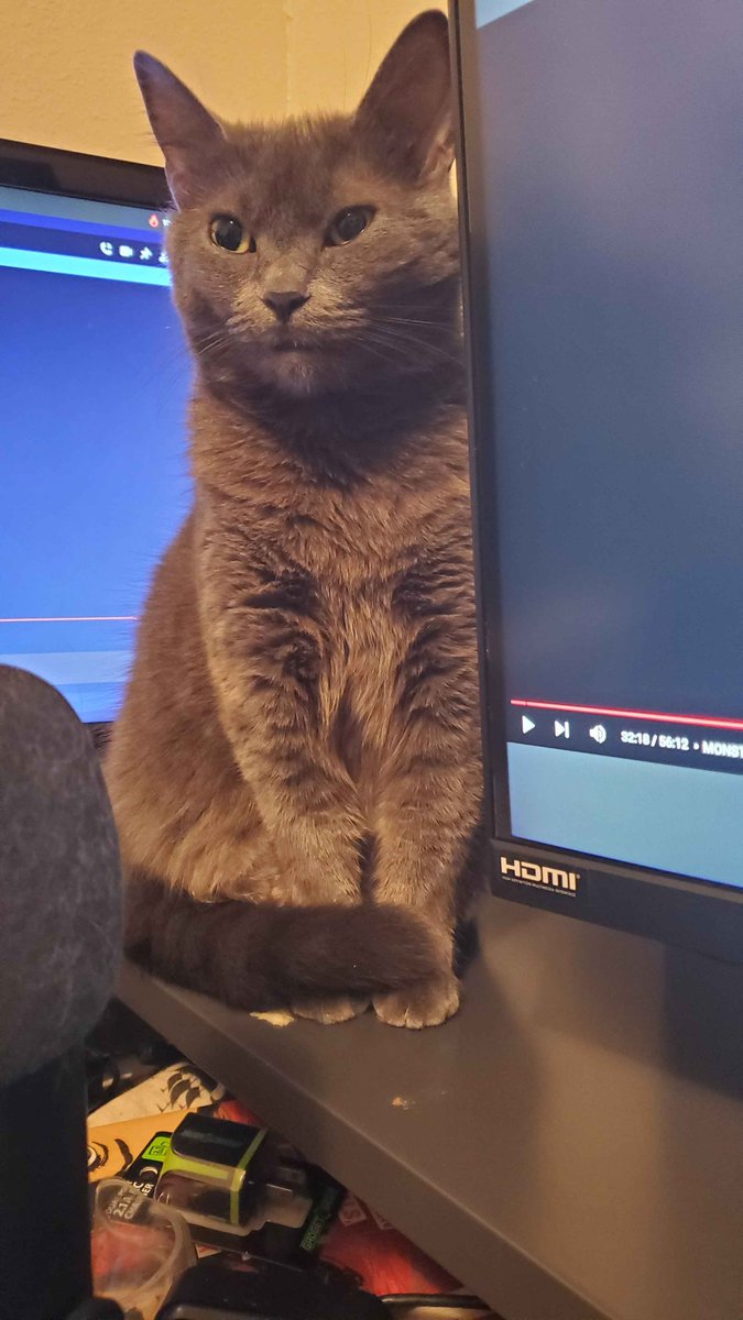 RIP my <a href="/CORSAIR/">CORSAIR</a> mechanical keyboard. I spilled soda on it while trying to keep the cat off it. It was with me for years, so I guess it's a sign for an upgrade. Here is the culprit