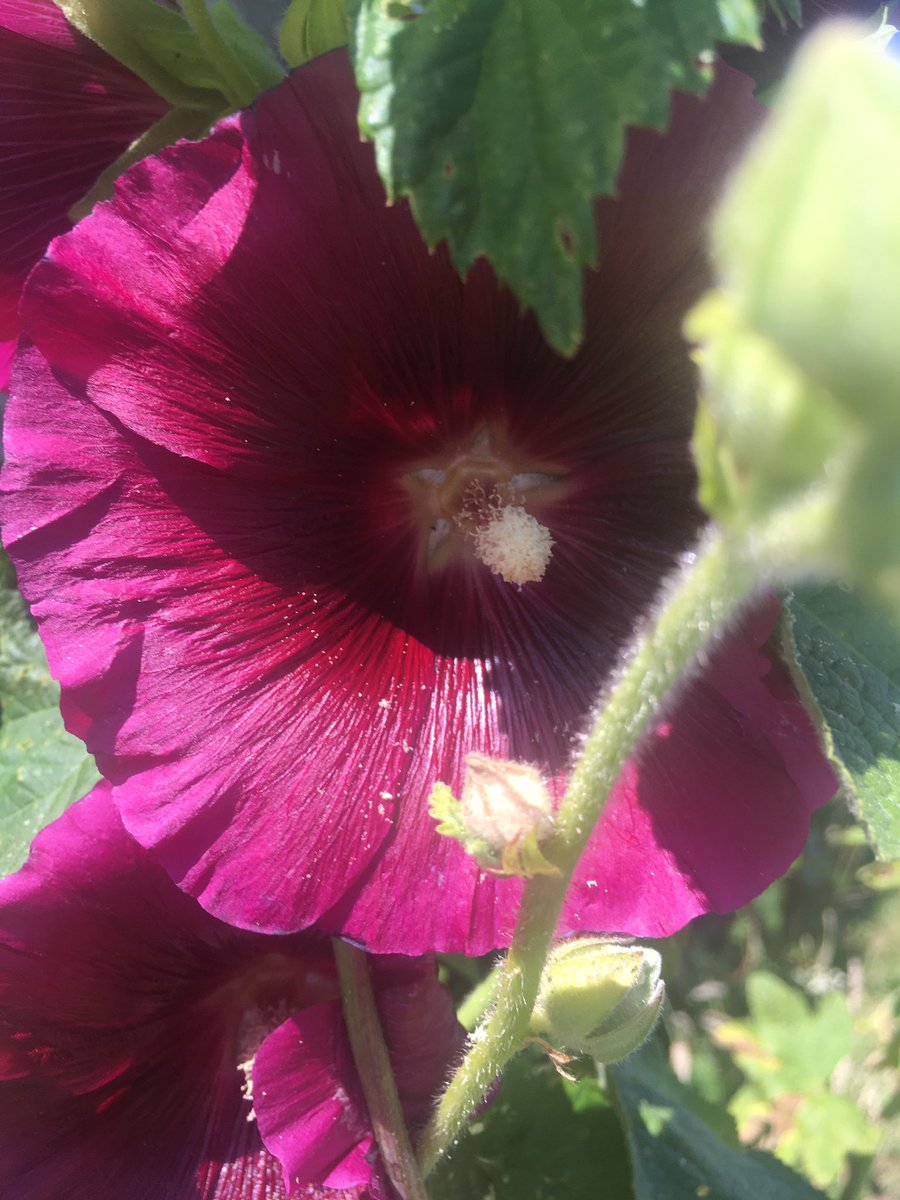 BirgitMoser4's tweet image. Gute Nacht!
          🌟