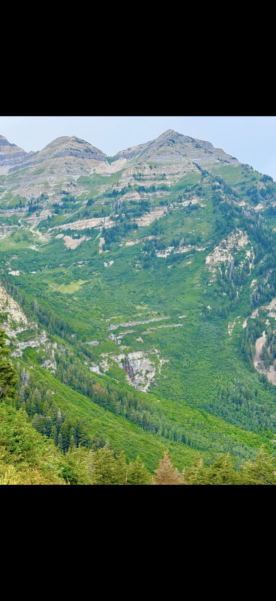FixnBones's tweet image. A nice hike down from the summit @SundanceResort #BearClawTrail
#Gorgeous
#UtahLife