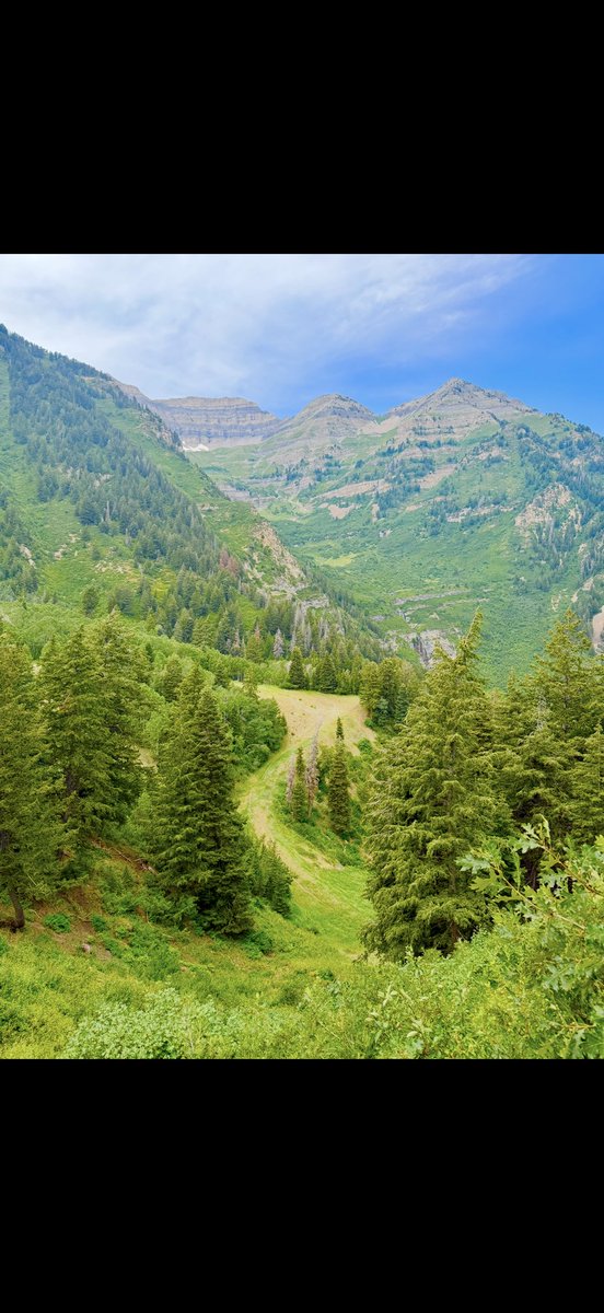 FixnBones's tweet image. A nice hike down from the summit @SundanceResort #BearClawTrail
#Gorgeous
#UtahLife