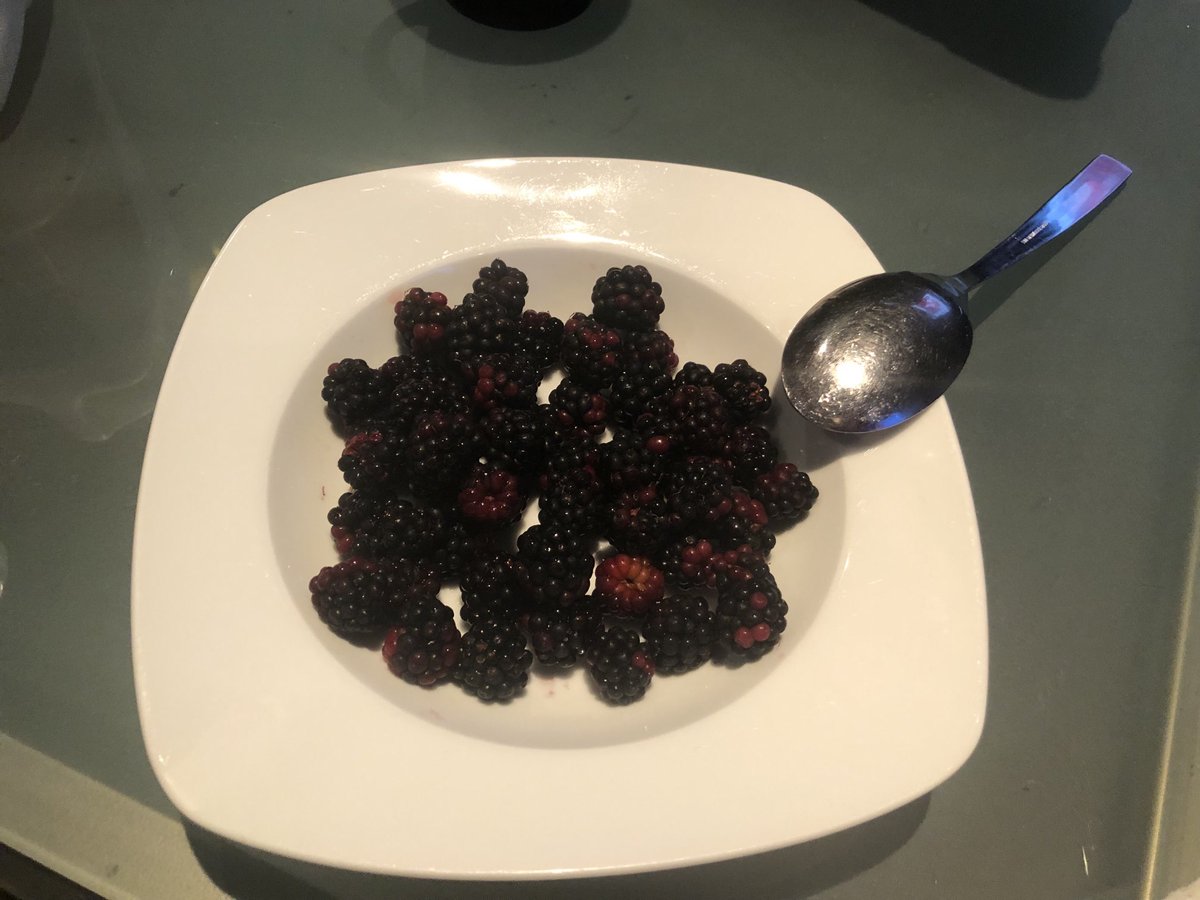 #bramen#wieisernietmeegrootgeworden?#eerlijkgeplukt#lekker