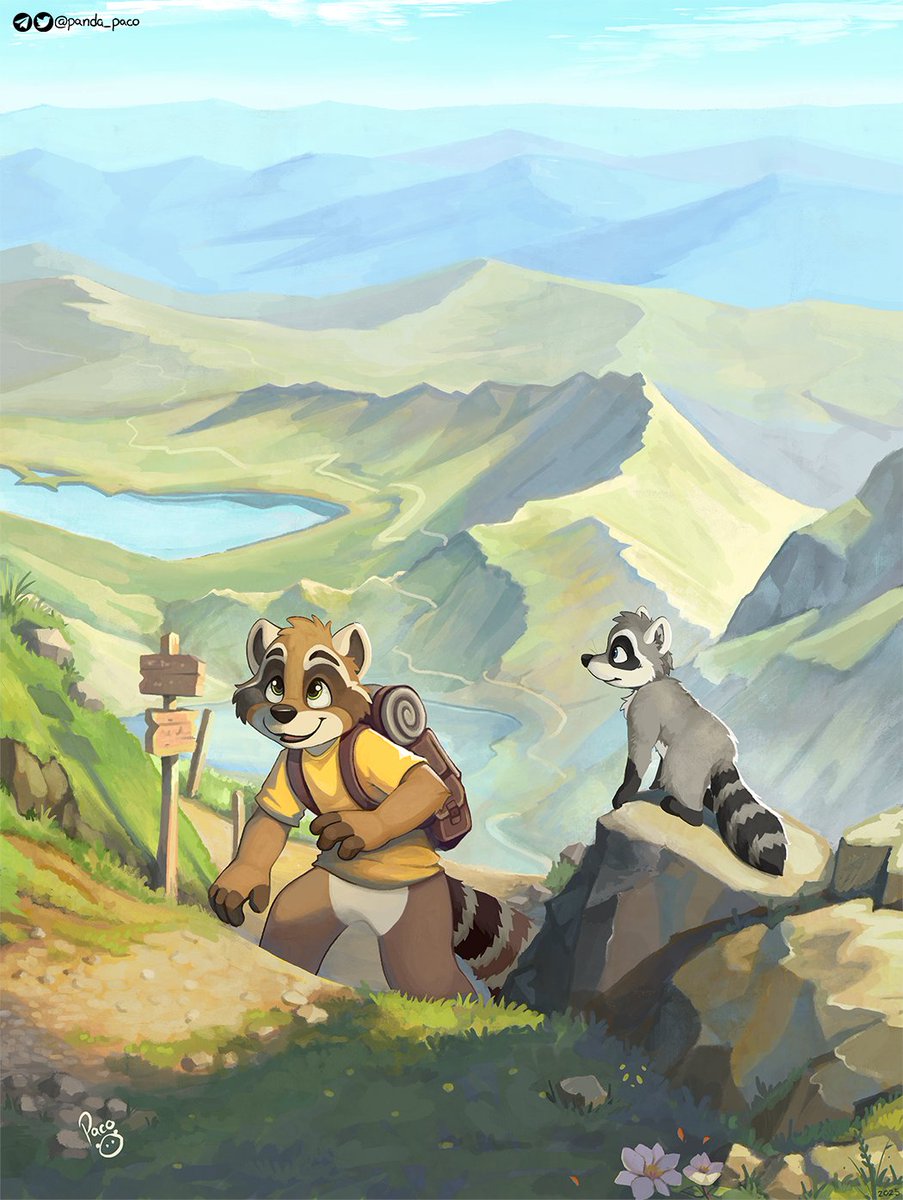 The view gets better with every step. Riff leads the way, steady and sure, while Procyon takes a moment to pause on a nearby rock, looking back for a second the path they've already walked.

This place is Snowdon, in Wales, UK

Picture for <a href="/riffraccoon/">Riff</a>  and <a href="/procyonir/">Procyon</a>