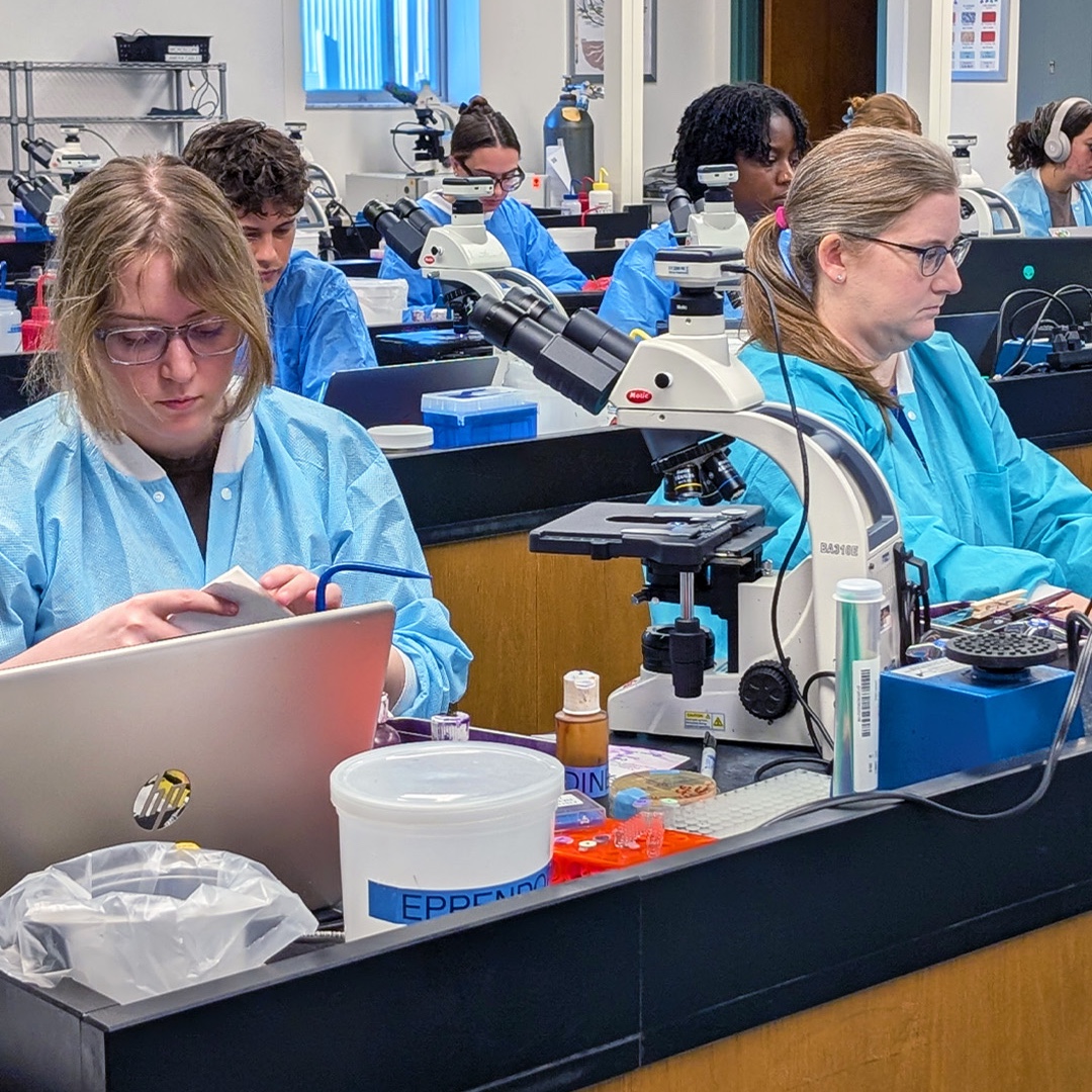 UF Online tweet media