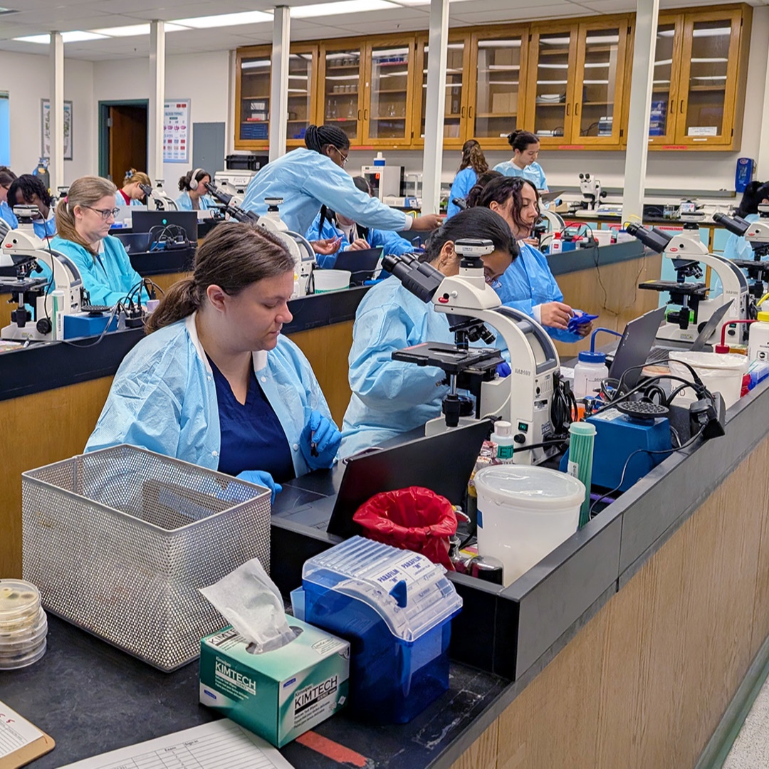 UF Online tweet media