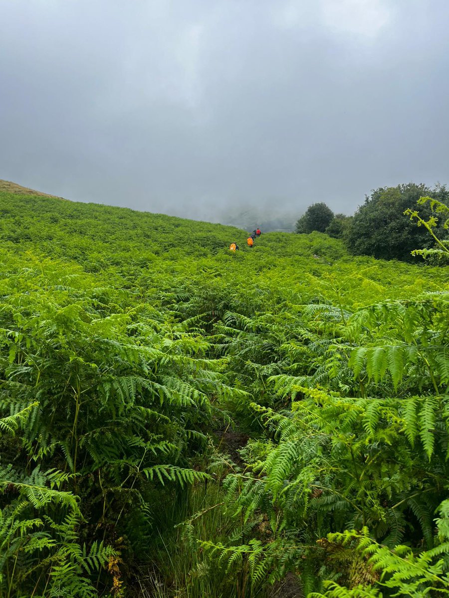 Dwr-y-Felin DofE tweet media