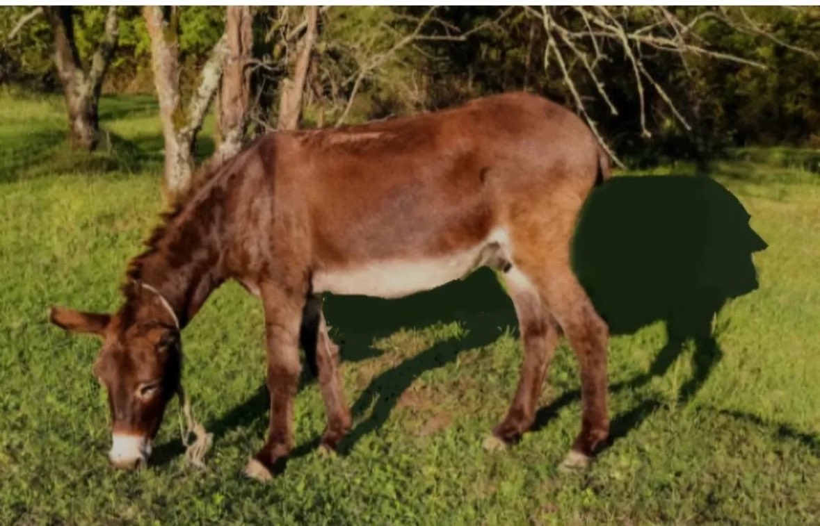 REALİST 😎 tweet media