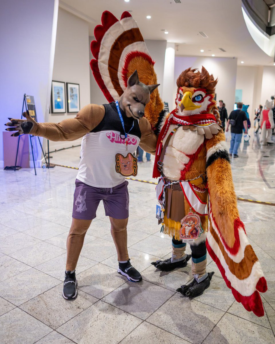 cainenines's tweet image. Flock on!

With @LeRitoOrange at @FurryWeekend

#furry #fursuit #puppy #dog #xolo #bird #fwa #FWA25