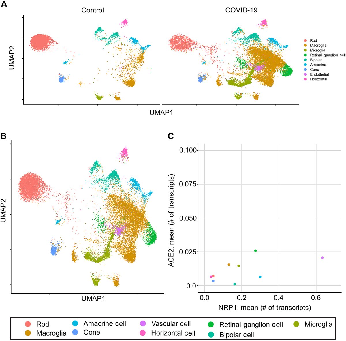Ian Kremer (@lead_coalition) on Twitter photo #SARSCoV2 Causes Buildup of #Alzheimers-Related Peptides in the Retina medicine.yale.edu/news-article/s… by <a href="/YaleMed/">Yale School of Medicine</a>
#dementia #COVID19 #SARSCoV2 Causes Buildup of #Alzheimers-Related Peptides in the Retina medicine.yale.edu/news-article/s… by <a href="/YaleMed/">Yale School of Medicine</a>
#dementia #COVID19