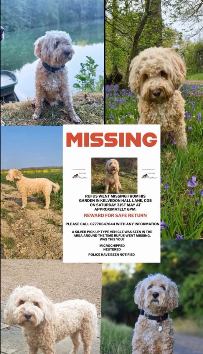 sophieraworth (@sophieraworth) on Twitter photo 