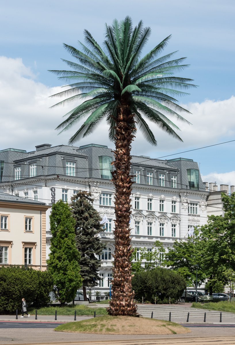 FrontCnot's tweet image. #TekstPremium
#Palmistry
Sporo czasu poświęciłem ostatnio nauce czytania przyszłości z palm i pomyślałem, że systematycznie będę dzielił się z Państwem swoją wiedzą i umiejętnościami.
Jutro zdarzy się coś ważnego. Nie na tyle ważnego, aby zapisać się w historii Polski, ale…