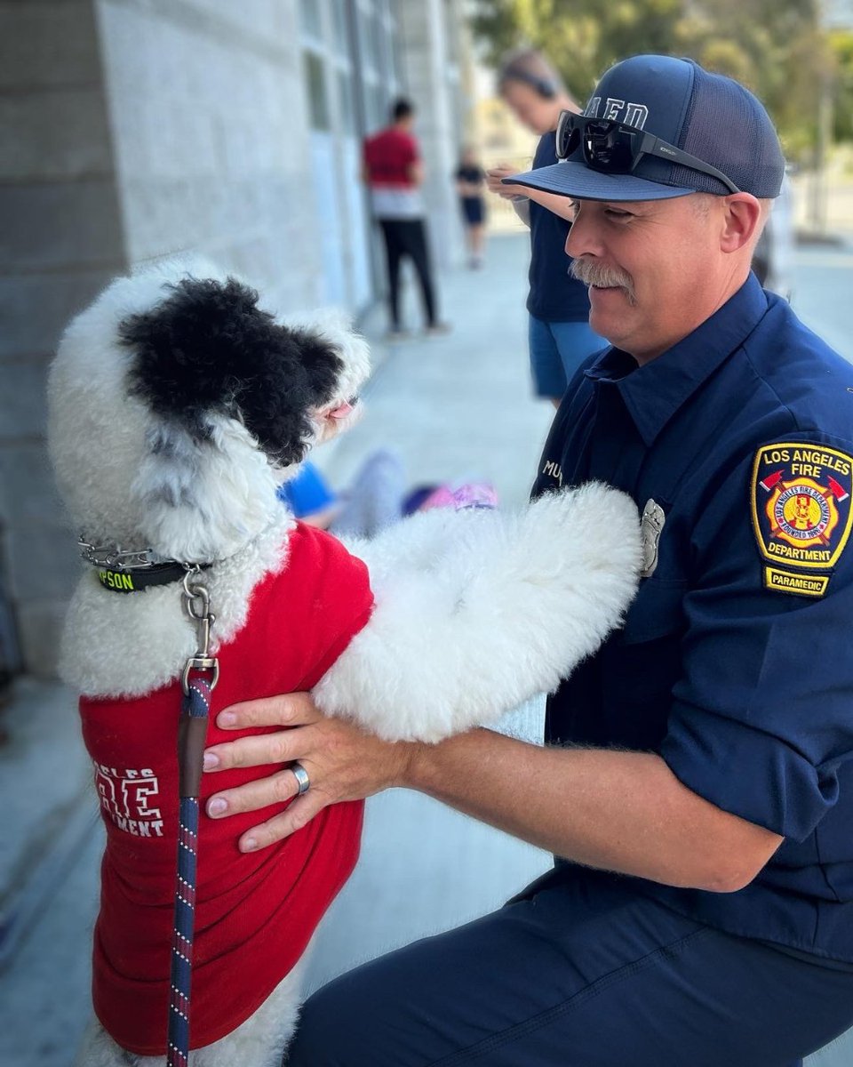 LAFDFoundation's tweet image. Only 8 days left to join the Howling Heroes LAFD Calendar Contest! 🐾
Enter your pup, cast your vote, or tag a friend with a dog you would love to see in a calendar alongside LA Firefighters!
👉 bit.ly/46IOvGc