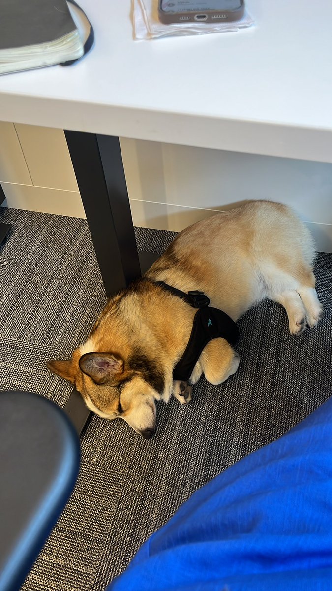 He always knew legislation would pass