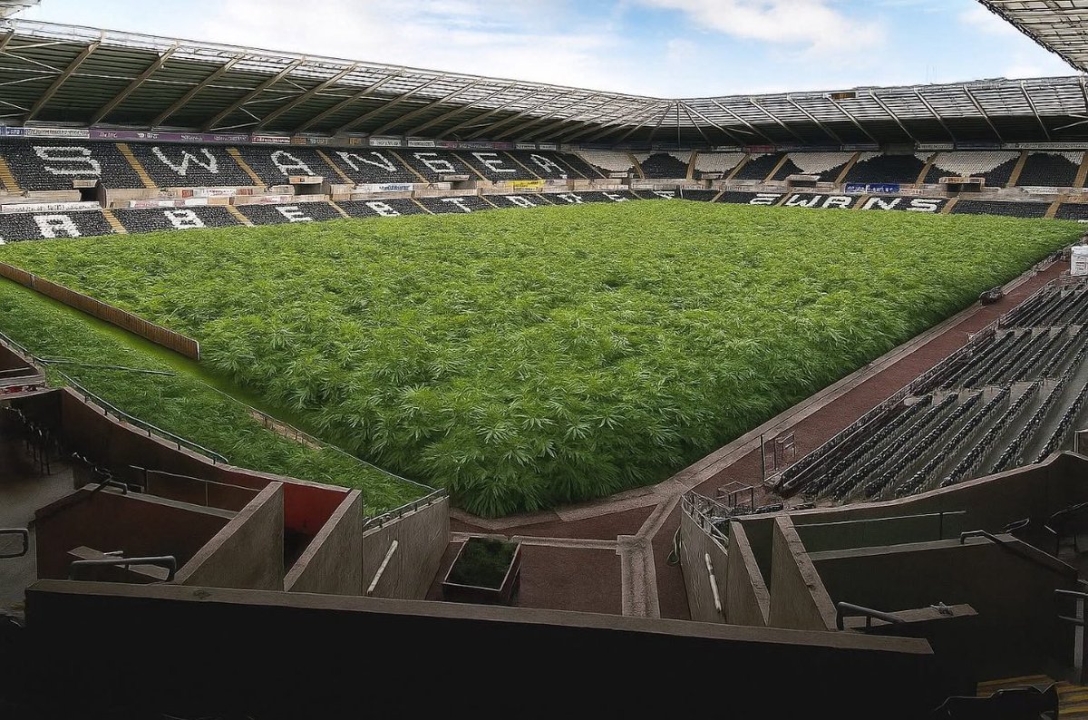 Groundsmen at the Liberty been busy during the summer break 🌱💨