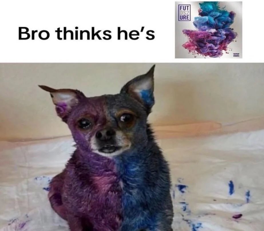 KongoFuture's tweet image. DS2