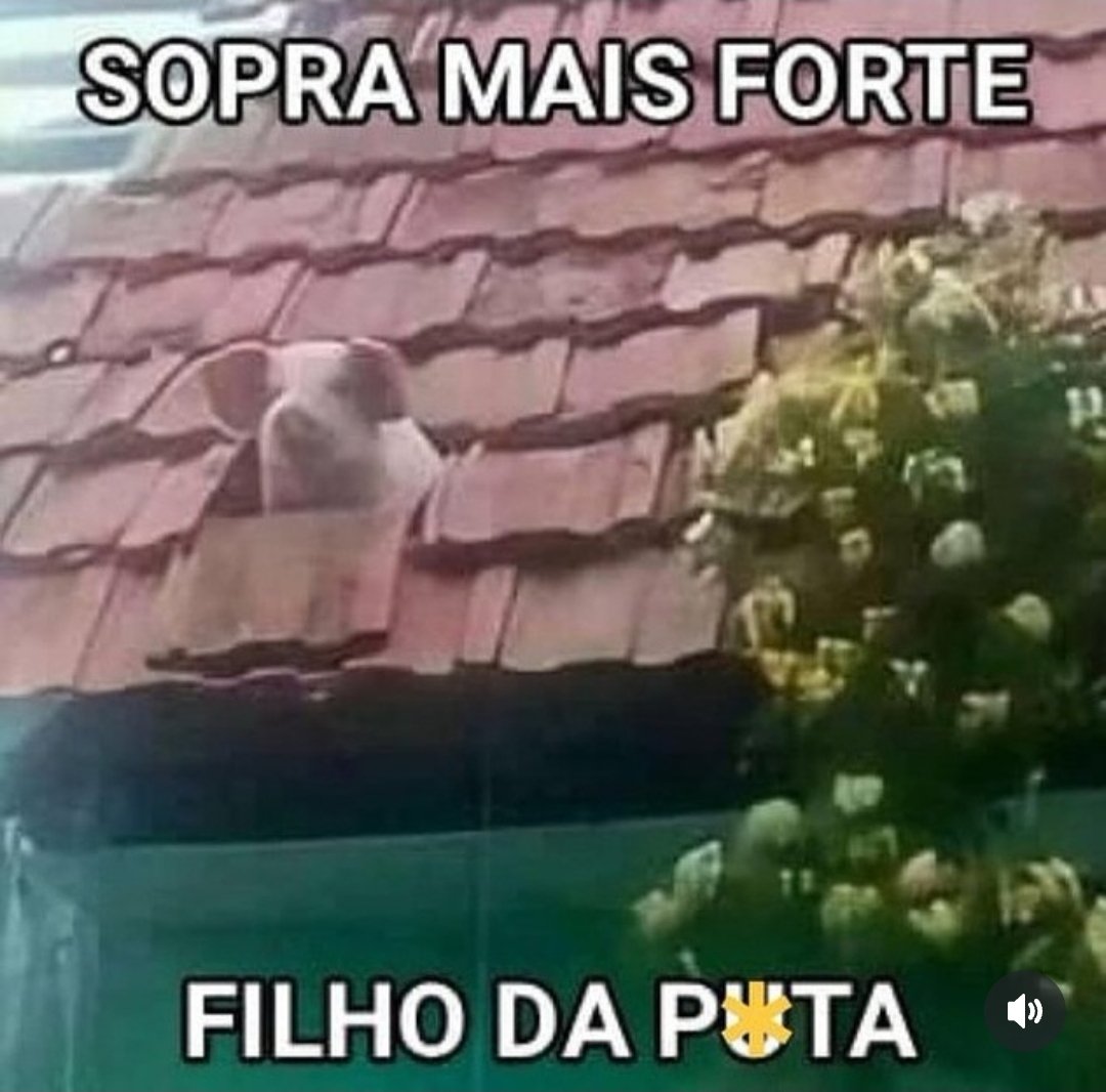 Callum41 (@ccallum41) on Twitter photo 