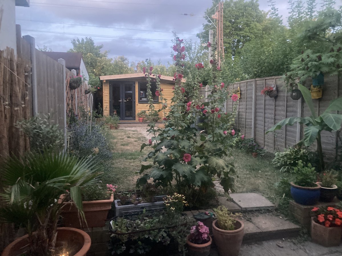 Kate Bod tweet media