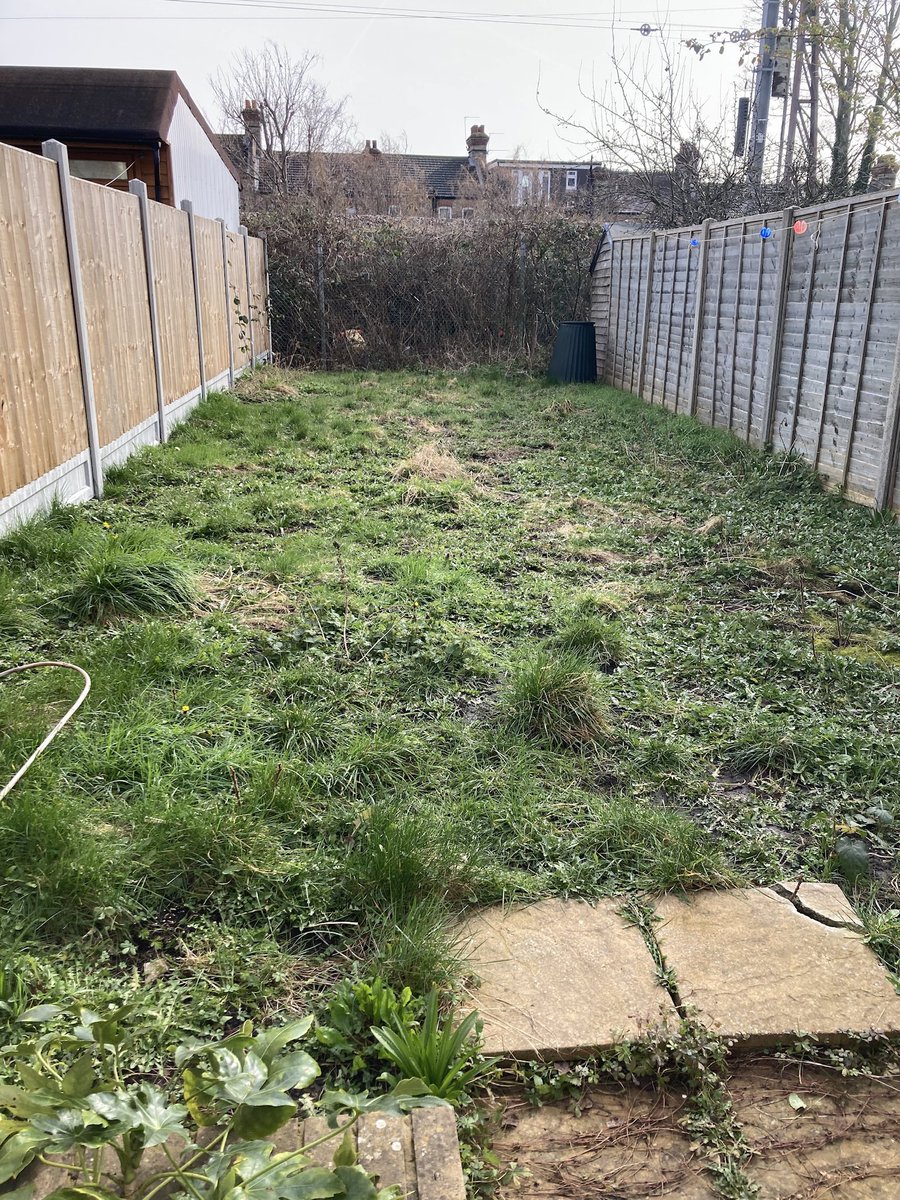 Kate Bod tweet media