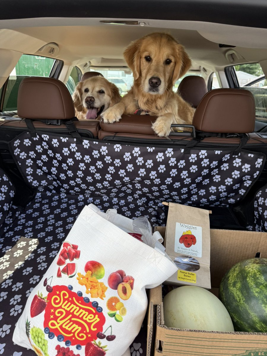 headdoc03's tweet image. Guess what pals! We received our @CharliePawsUp lovely summer yum tote and have already used it to visit our favorite produce stand . Thank you so much to our bestie’s Freya and mom @FreyasMuttHut for placing our name in the contest, we love you pals , and all the WONDERFUL…