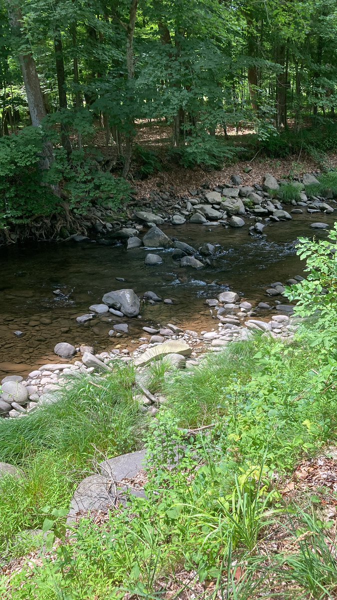 keith_saunders's tweet image. Bearsville, NY (near Woodstock)