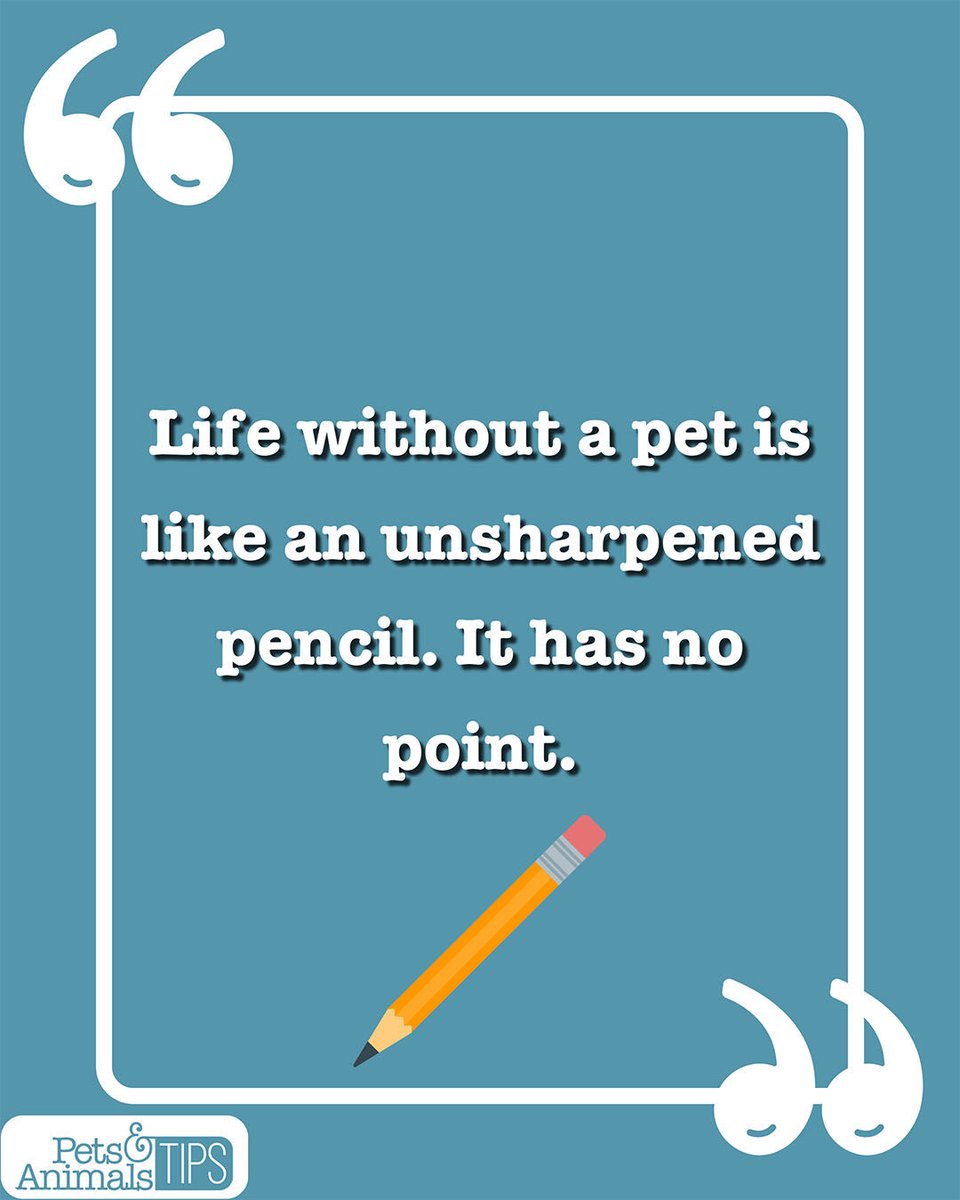 animals_tips's tweet image. Sometimes the most profound truths come in the simplest packages. This one hit us right in the feels! 💕

#PetsAndAnimalsTips #PetQuotes #PetLove #LifeIsBetterWithPets #InspirationalQuotes