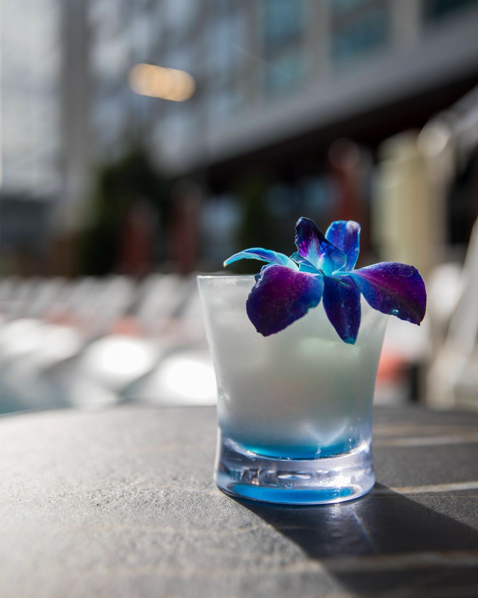 Aerial’s rooftop menu is designed to delight long after golden hour ends🍴🍹

Menu + hours: vist.ly/3yai7