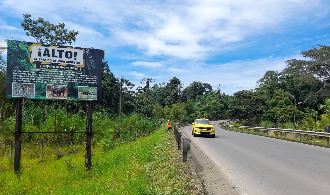 #Orellana| En cumplimiento de una orden judicial por delito ambiental, colocamos letreros informativos sobre delitos contra la #VidaSilvestre en:

📌 Vía Auca – Cantón F. de Orellana
📌 Vía Loreto-Tena – Loreto

Esta medida preventiva buscamos proteger la biodiversidad amazónica