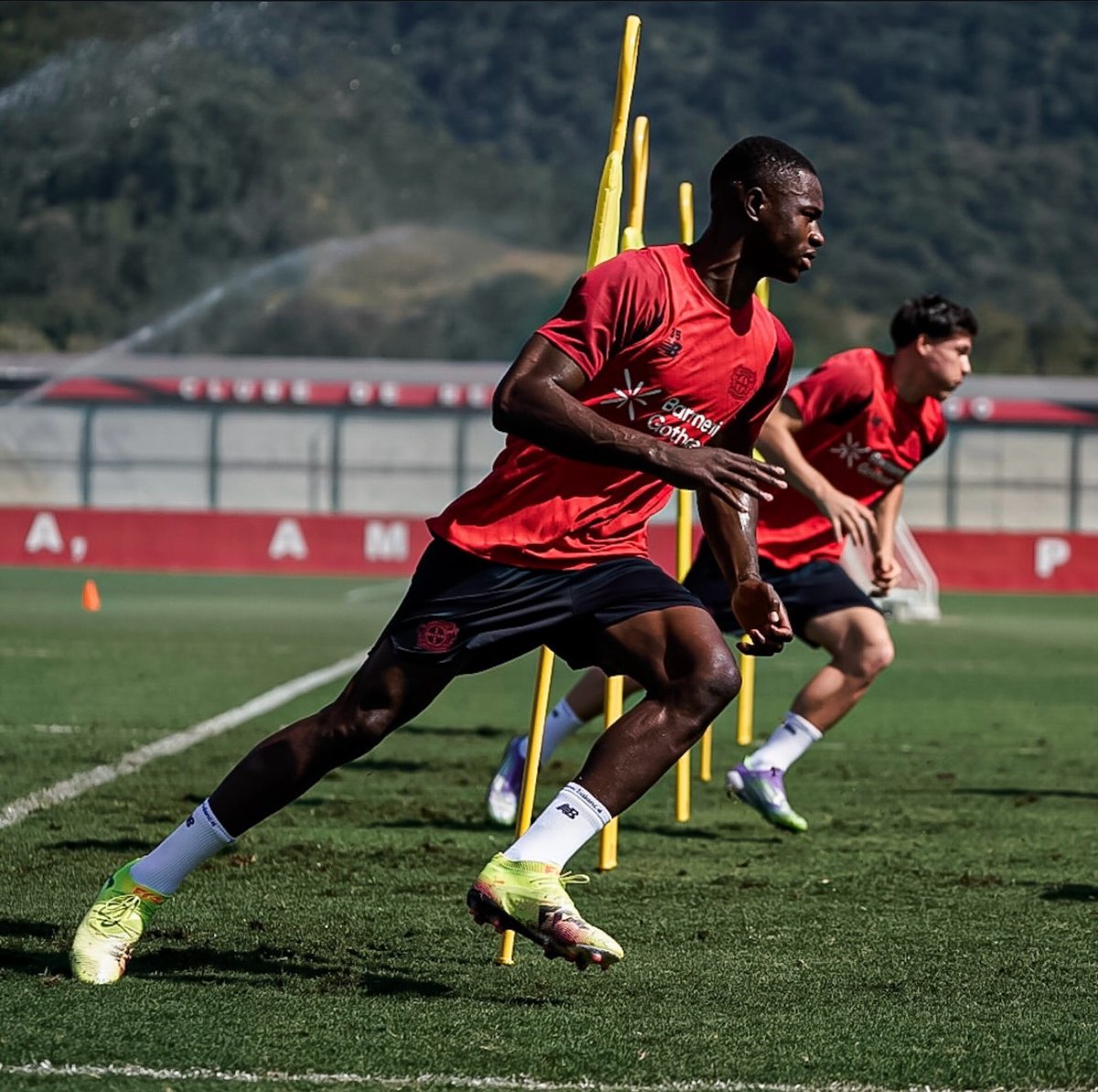 AllezLesLions tweet media