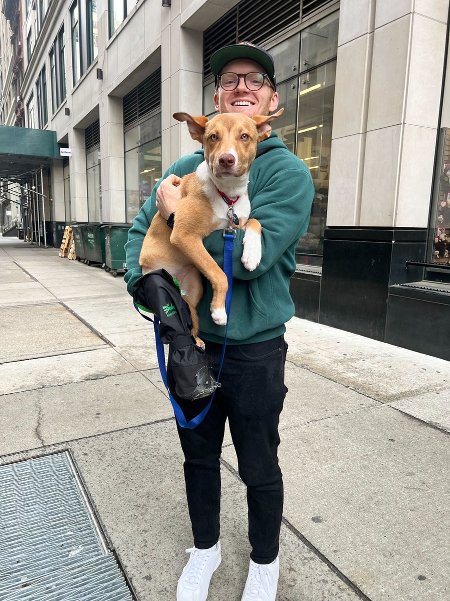 dog_rates's tweet image. This is Leslie. She has extraordinarily powerful zoomies. While in her foster home, she zoomed so hard she fractured her own shin bone and needed surgery to repair her leg. Thanks to your recent support of our 'tell your dog i said hi' merch, @15outof10 was able to cover the cost…