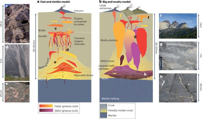 NatRevEarthEnv's tweet image. New online! A complex system approach to magmatism bit.ly/4kJPg56