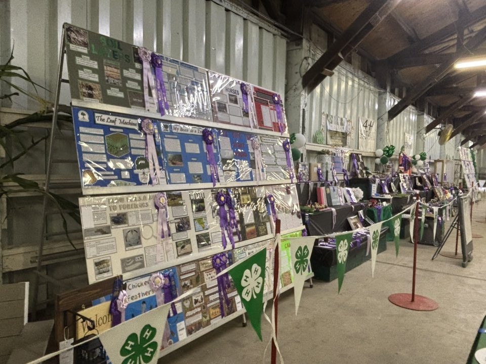 Indiana4h's tweet image. .@PurdueExtension Vigo County 4-H had a GREAT looking exhibit hall during their county fair! 🤩🍀