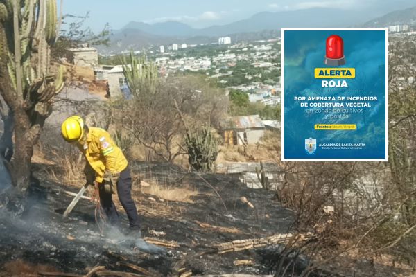 #Atención | Alcaldía de Santa Marta emite alerta por riesgo de incendios forestales y condiciones climáticas adversas ⤵️
elinformador.com.co/index.php/dist…