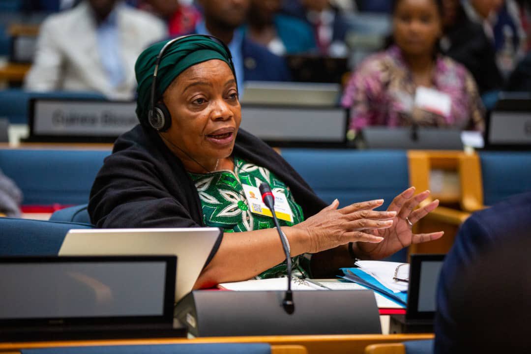 Deux victoires obtenues par la #RDC à la 20ème session de la conférence ministérielle africaine sur l’environnement(#CMAE):
1. La RDC assurera la vice présidence du bureau pour la région Afrique centrale;
2. L’adoption de la proposition sur la criminalisation de l’ECOCIDE.