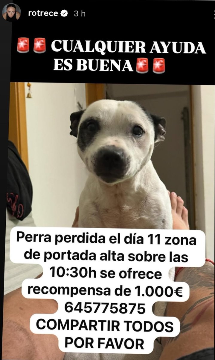 💙 BUENAS NOCHES 💙 Todavía no se ha encontrado 😔 <a href="/rotrece/">Rociio †</a> nos pide ayuda y le demos difusión 🙏 #YoMeRebelo17J #YoMeRebelo18J 💙