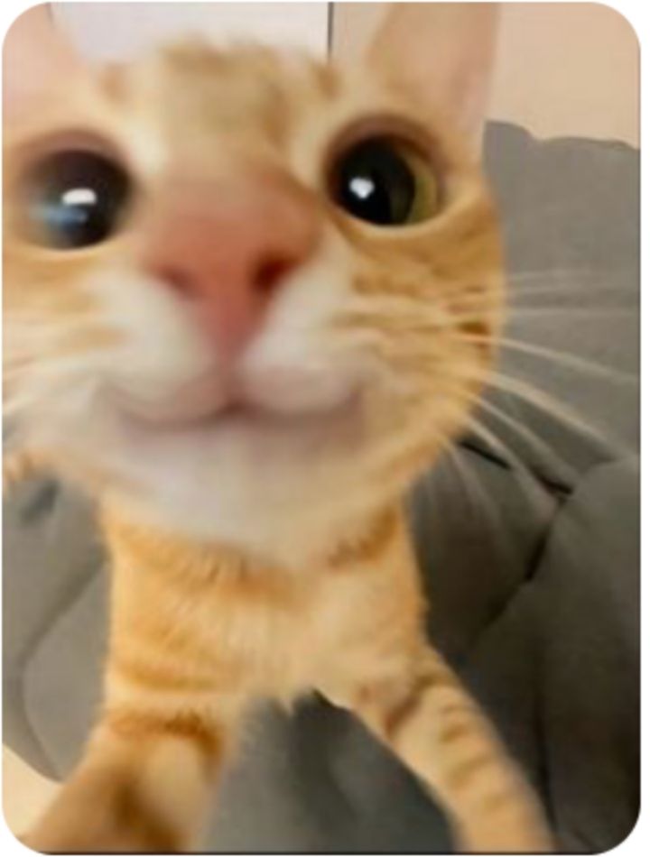 helpscout's tweet image. The “can I speak to your manager” era has ended. ❌
We’re in the “I just need someone who actually cares” era now.
And support reps? You're that someone. 💙
#support #customersupport #cteams #cats