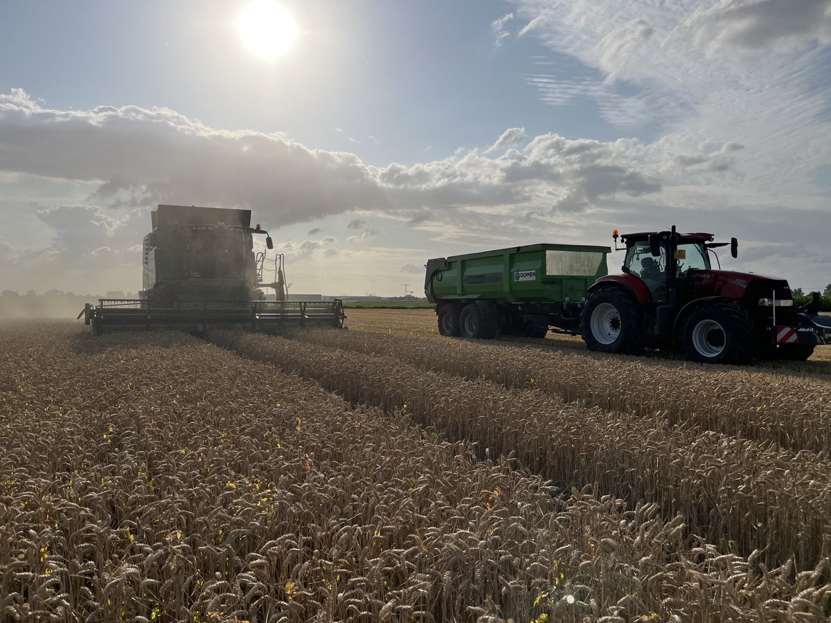 Graanoogst 2025 in volle gang!