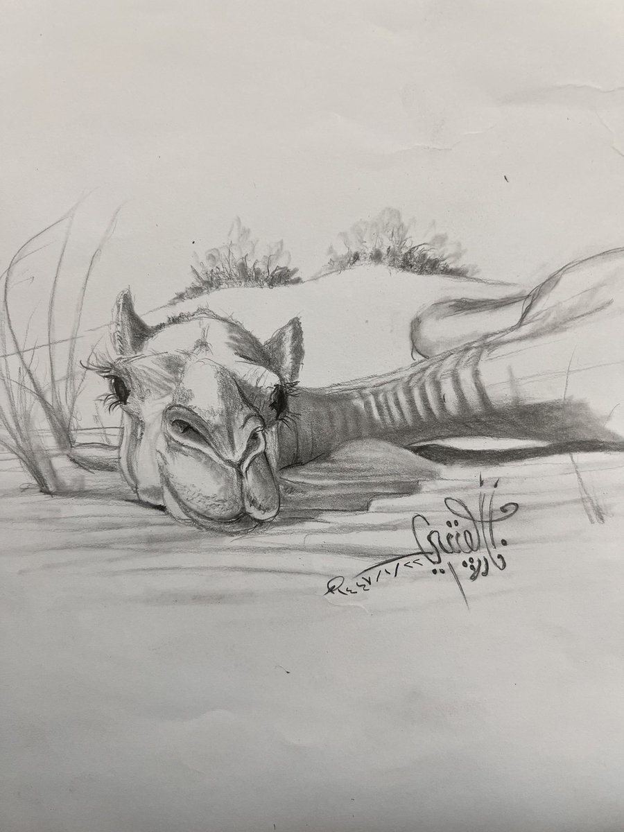 تمرين بقلم الرصاص